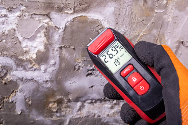Butte, MT Mold Remediation Company